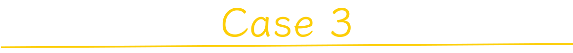 Case3